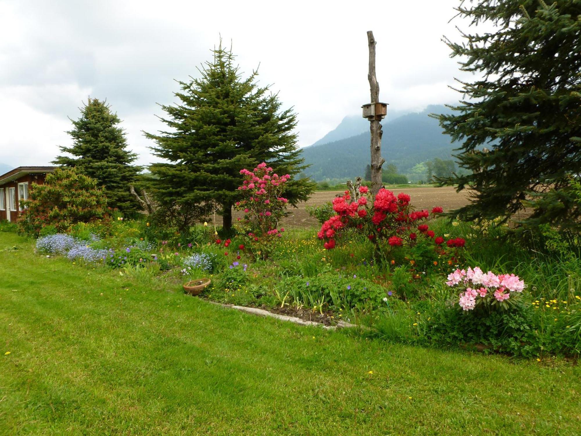 Harrison Hammond House Farmstay Harrison Mills Εξωτερικό φωτογραφία