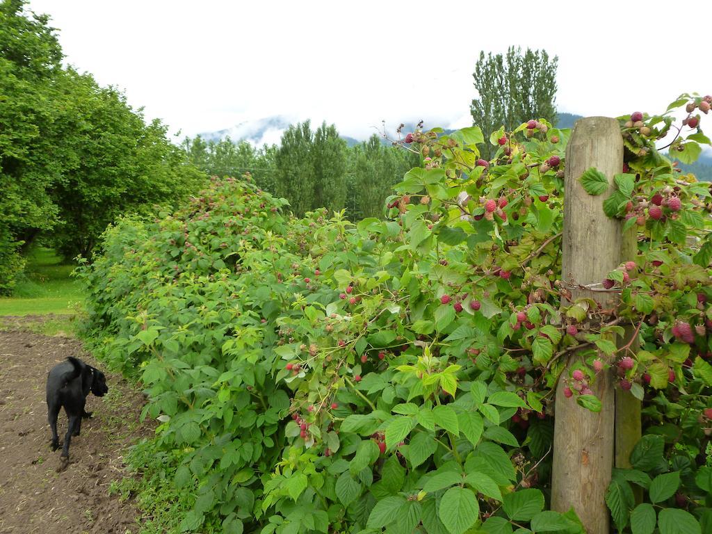 Harrison Hammond House Farmstay Harrison Mills Εξωτερικό φωτογραφία