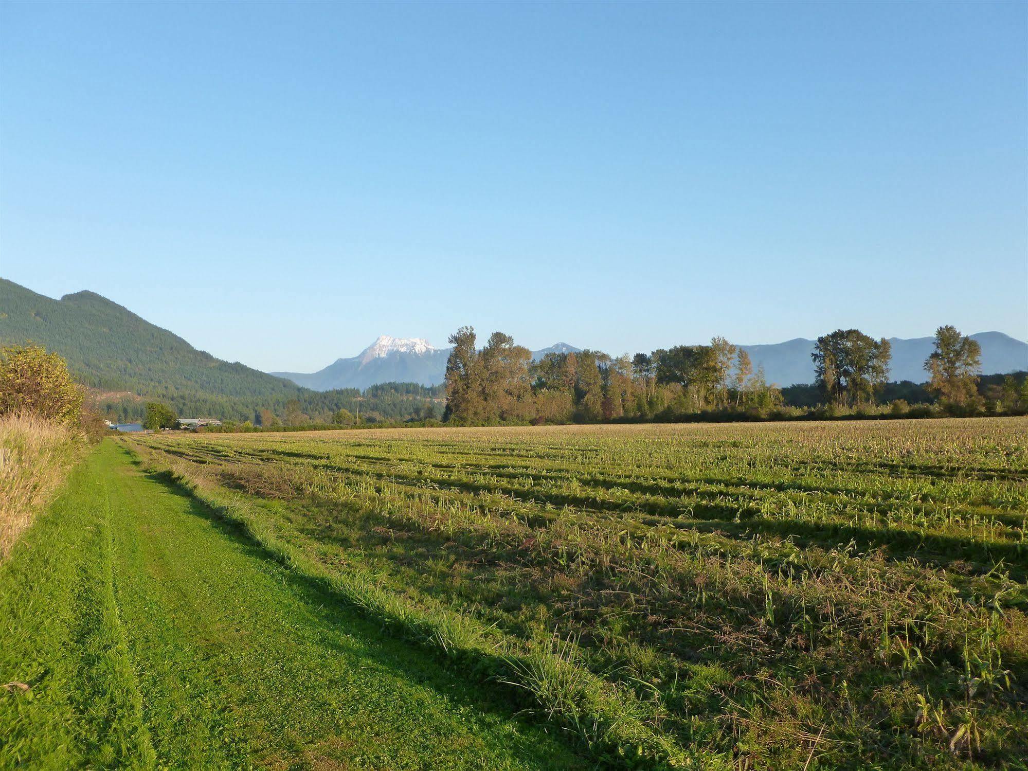 Harrison Hammond House Farmstay Harrison Mills Εξωτερικό φωτογραφία